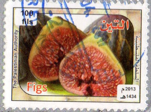 Gaza stamps - figs